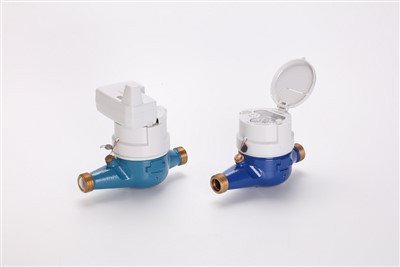 Entelijan dlo koule met